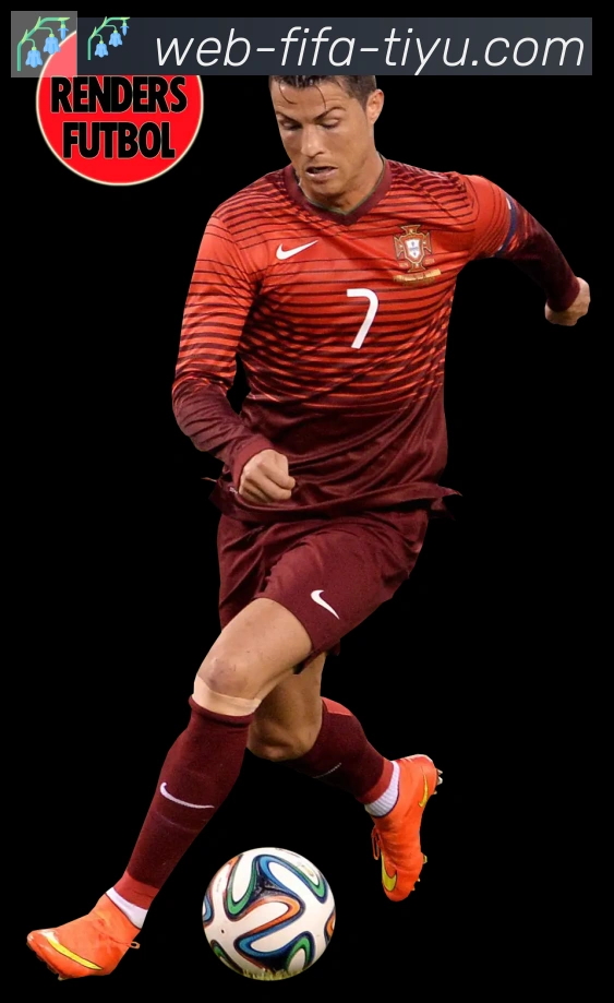 FIFA世界杯买球官方网站荣誉